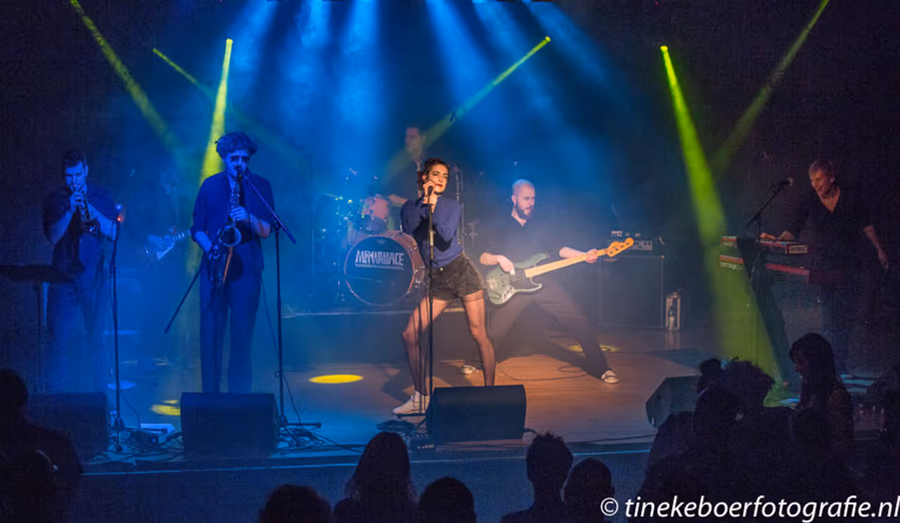 afbeelding van lichtshow Mr Wallace + Misty Basement